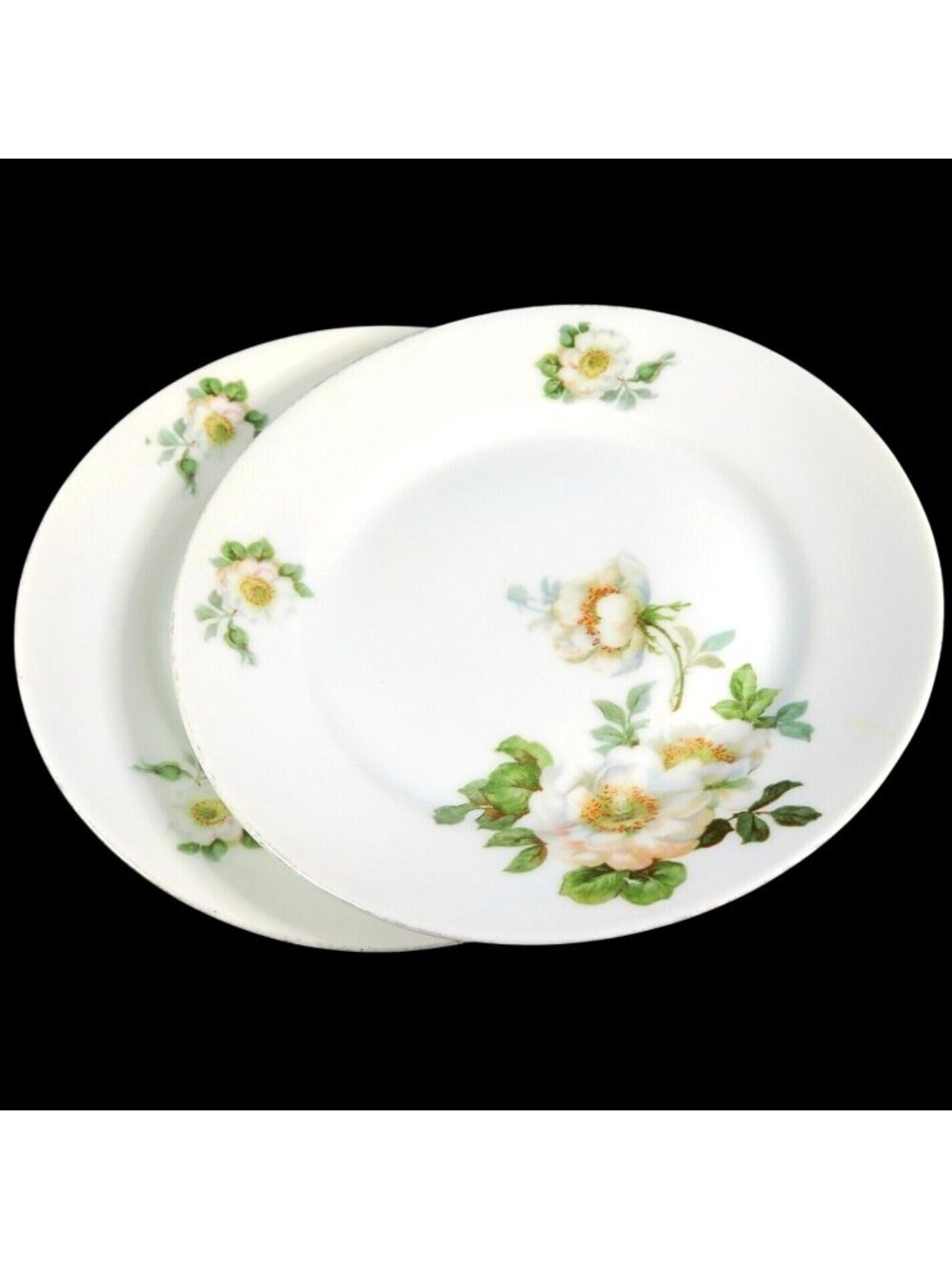 Koenigszelt Silesia Germany Wild Roses Set of 2 Vintage 1920s Dessert Plates